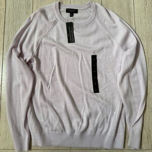Banana Republic Premium Merino Wool Raglan Sweater